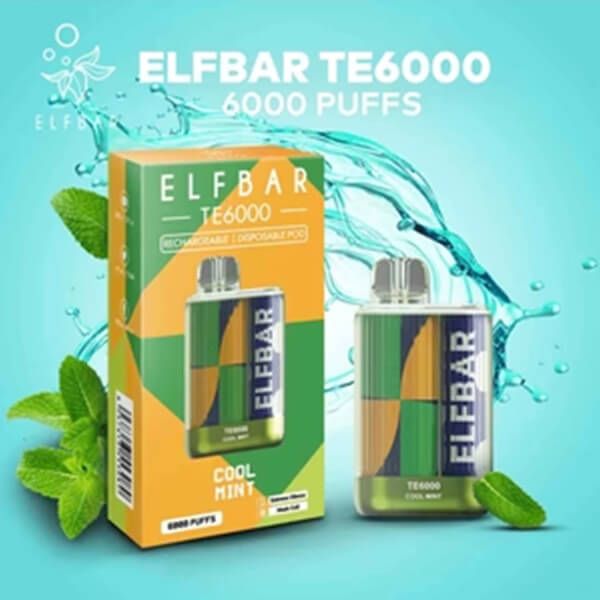 Elf Bar 6K Disposable - Cool Mint with packaging
