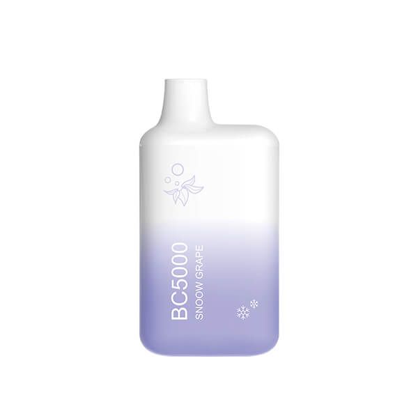 Non Branded EBDESIGN / Branded EBCREATE - BC5000 5K Disposable Frozen Grape (Snoow Grape)